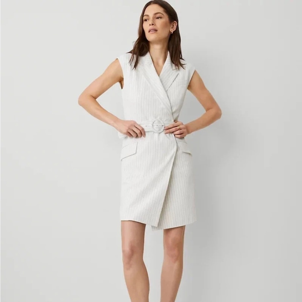 Ann Taylor Striped Lapel Sheath Dress Womens 14 Dusty Ivory Suit Belted Preppy